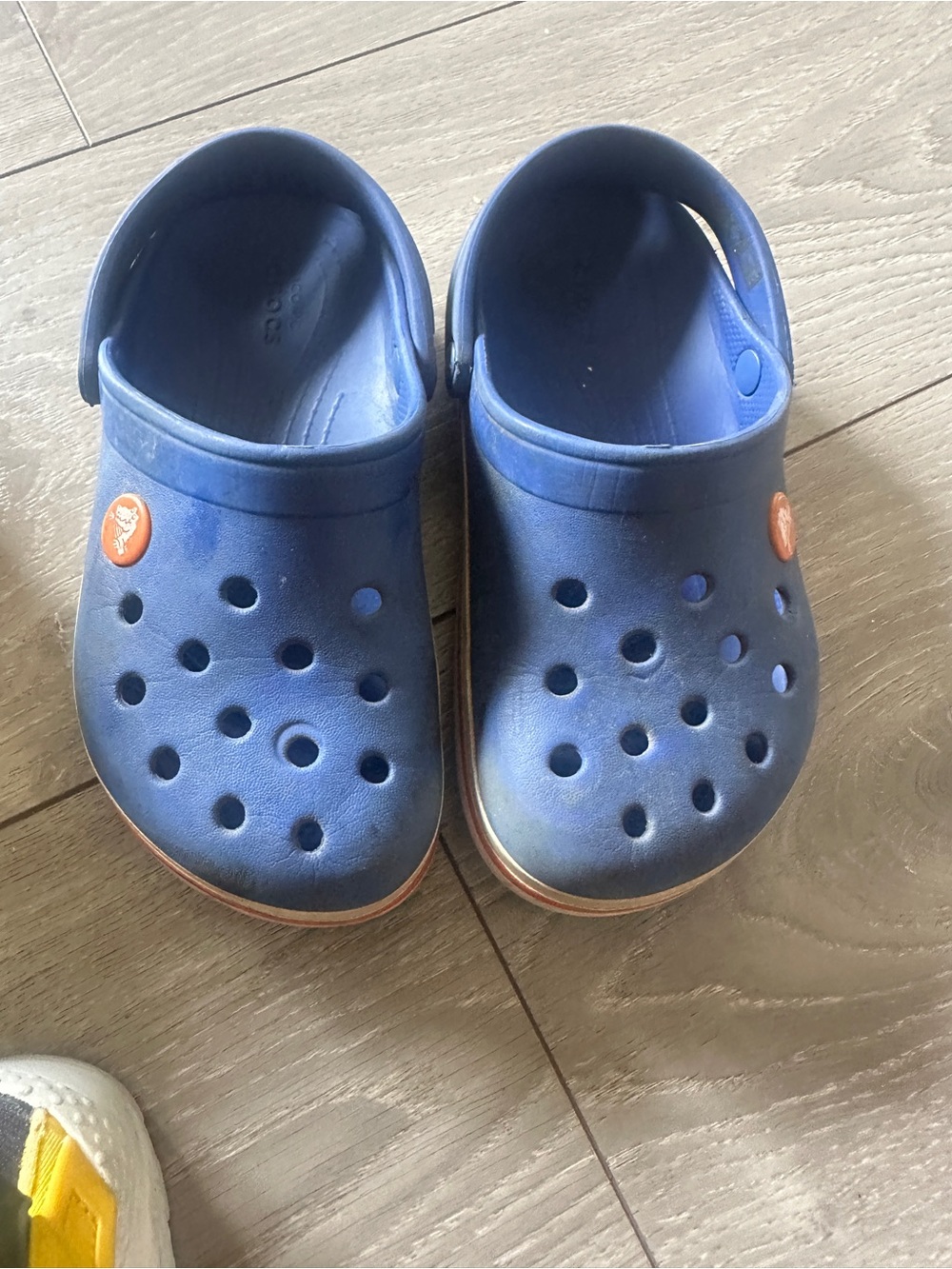 Kids Blue crocs